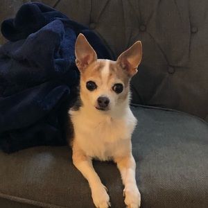 Meet your Posher, Mandy